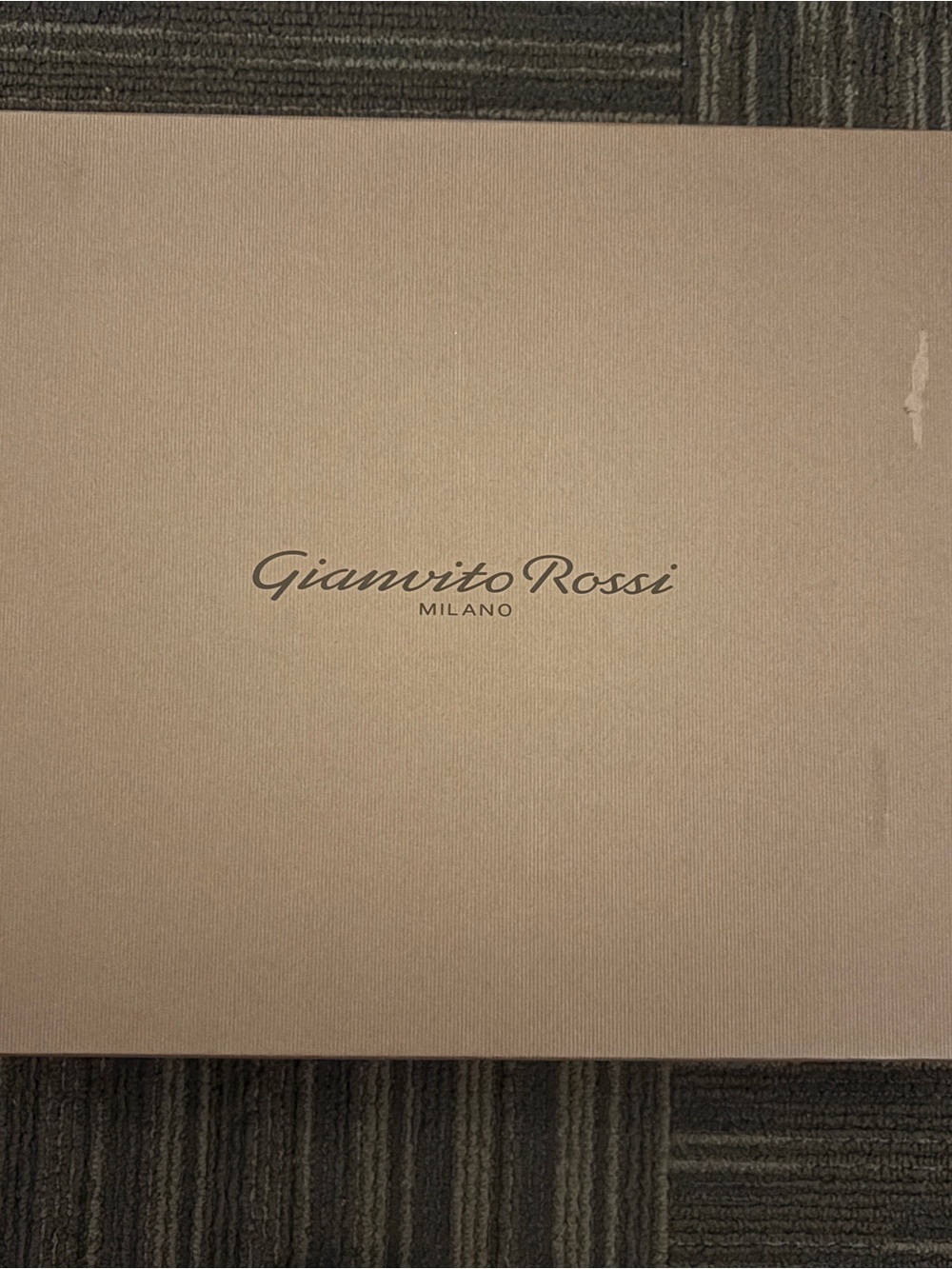 Gianvito Rossi Taupe EU38 Shoe Box, shoe bag, and box stuffings. NO SHOES